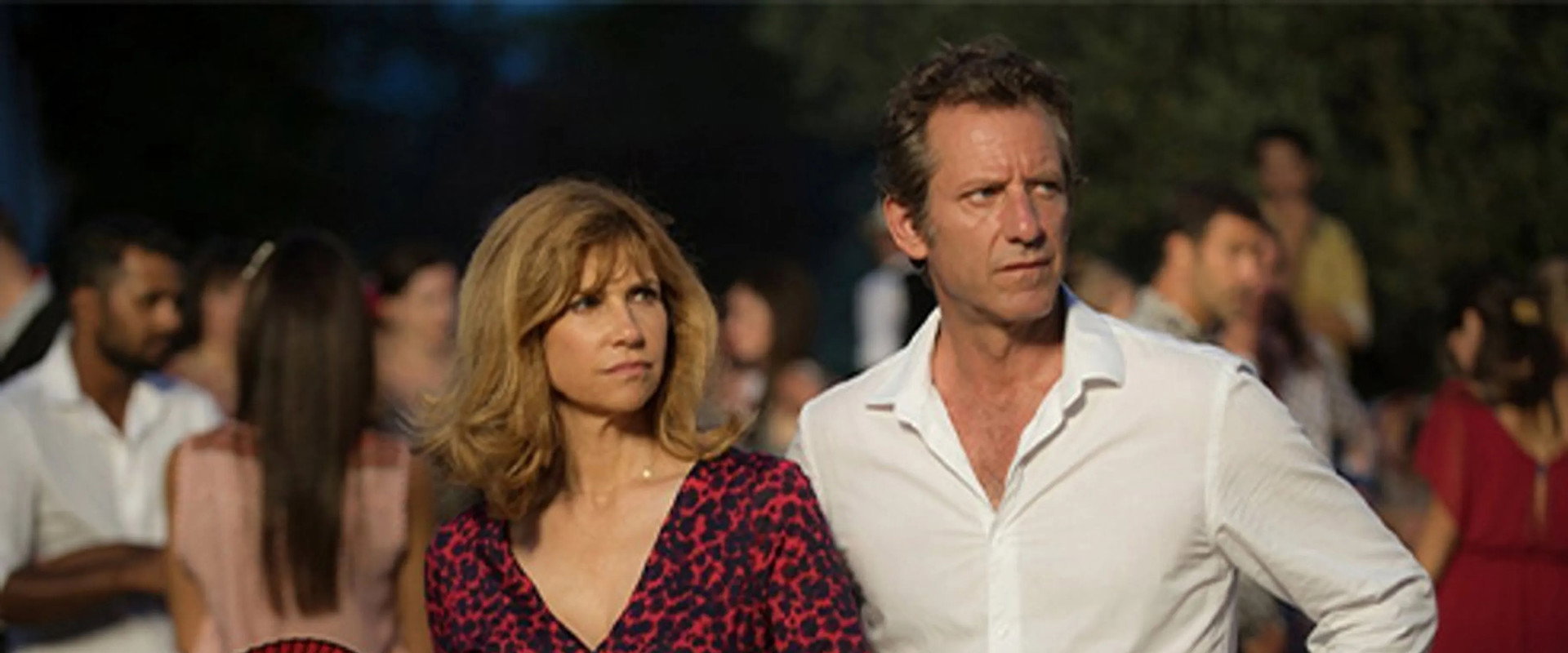 Murder in Aigues-Mortes backdrop