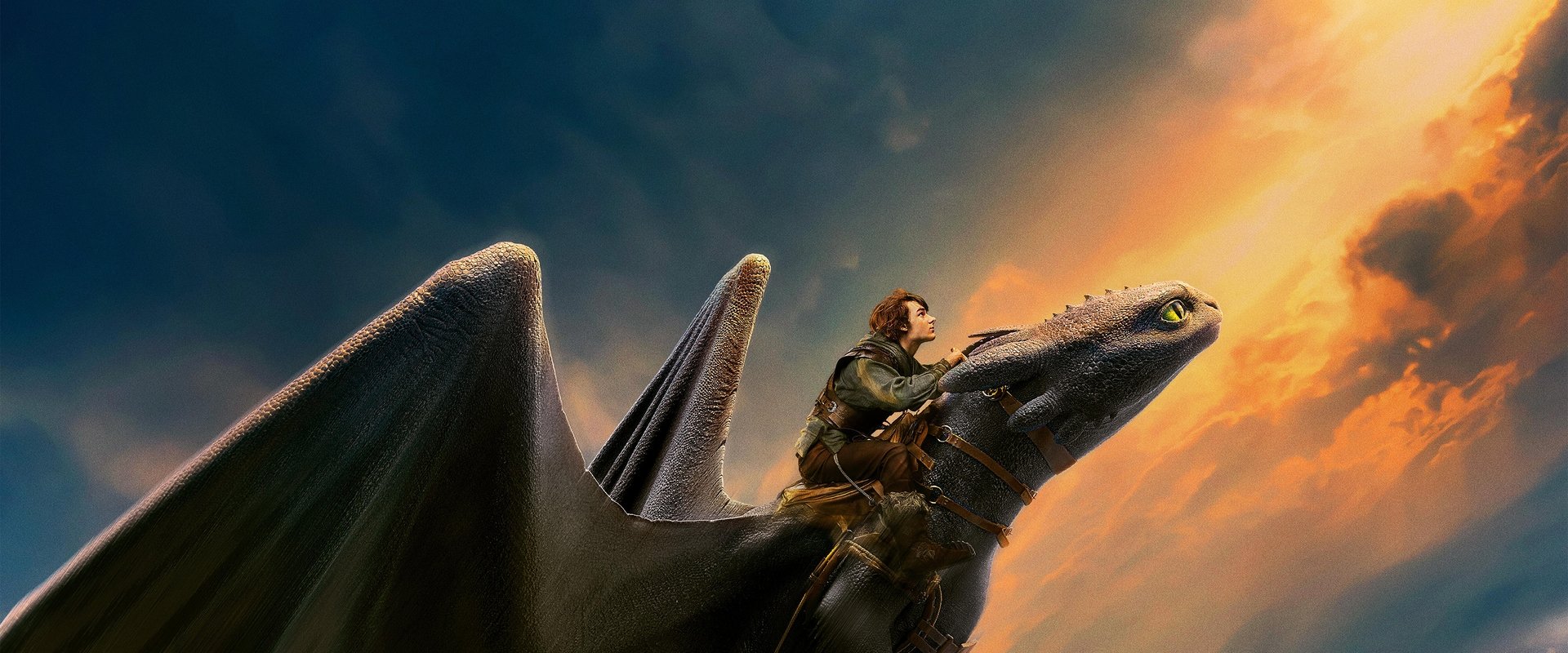How to Train Your Dragon