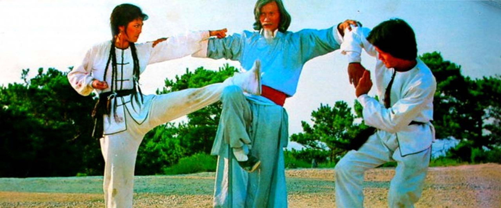 Twins of Kung Fu backdrop