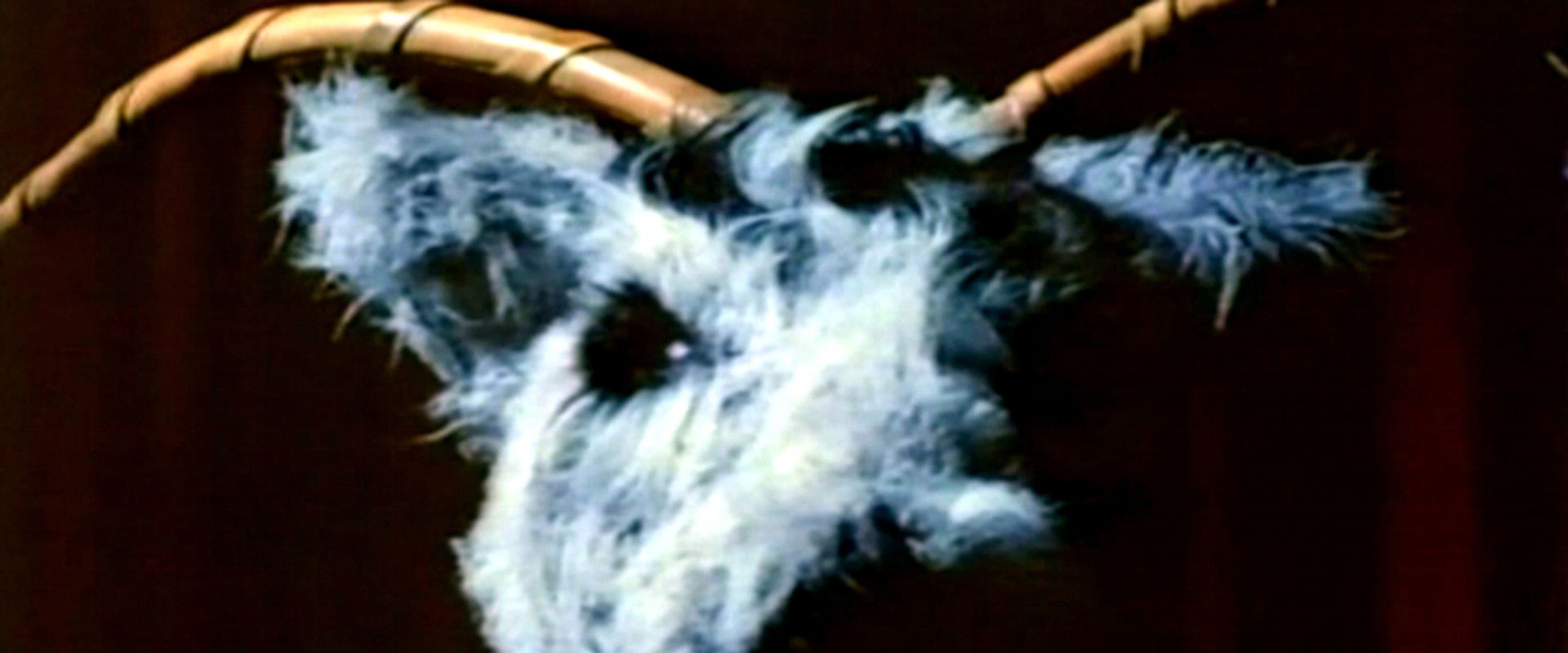 The Witching backdrop