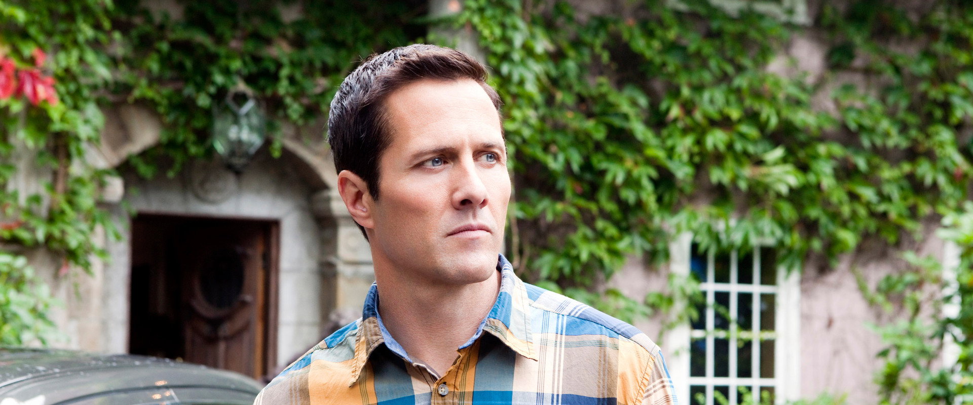 Edge of the Garden backdrop