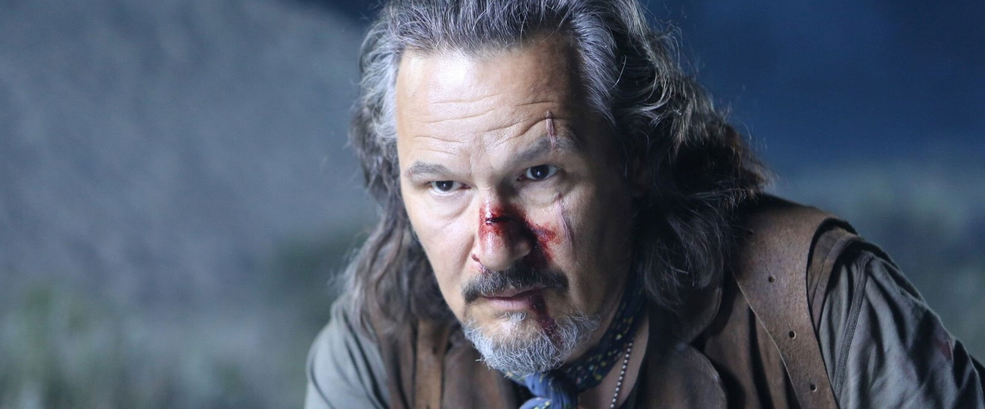 The Stakelander backdrop