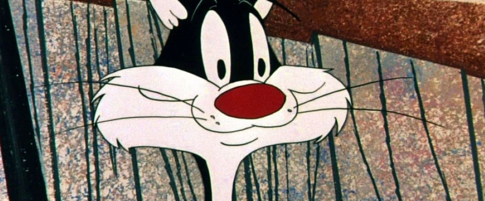 Birds Anonymous backdrop