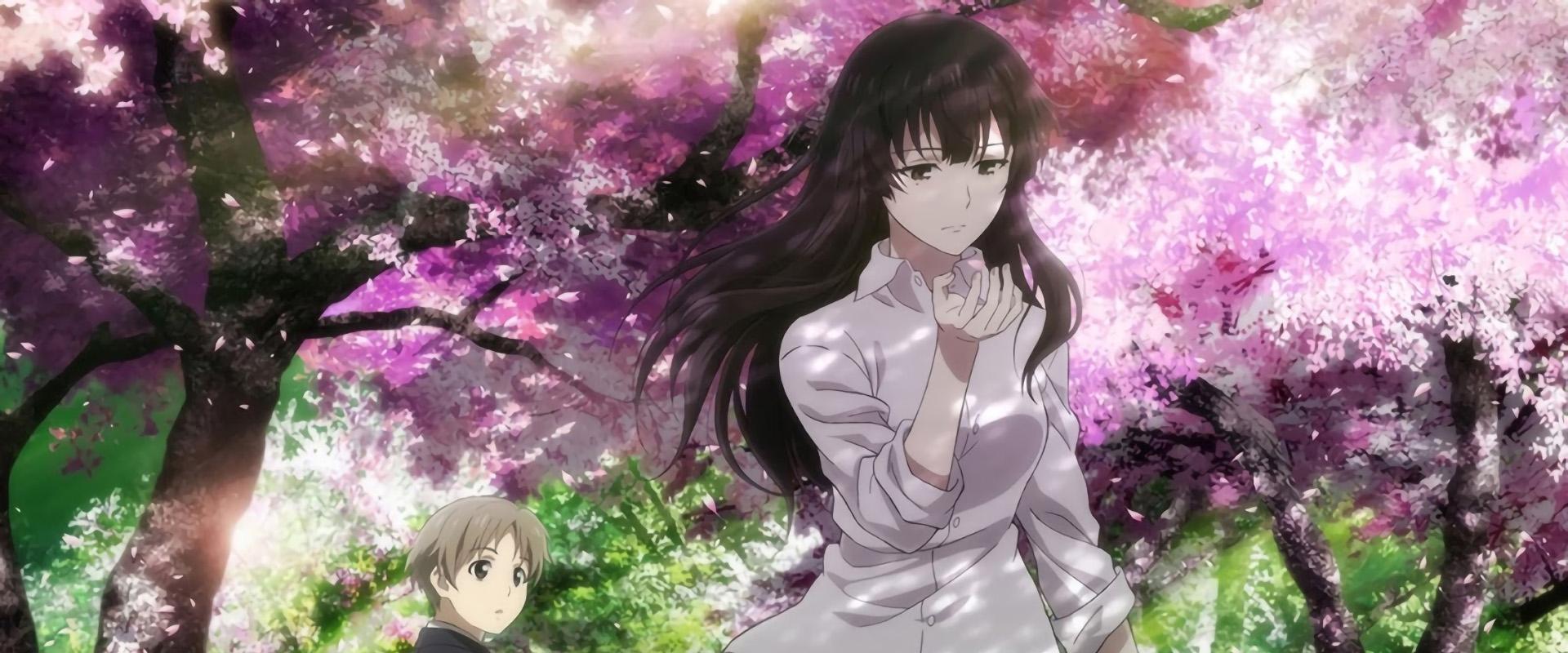 Beautiful Bones: Sakurako’s Investigation
