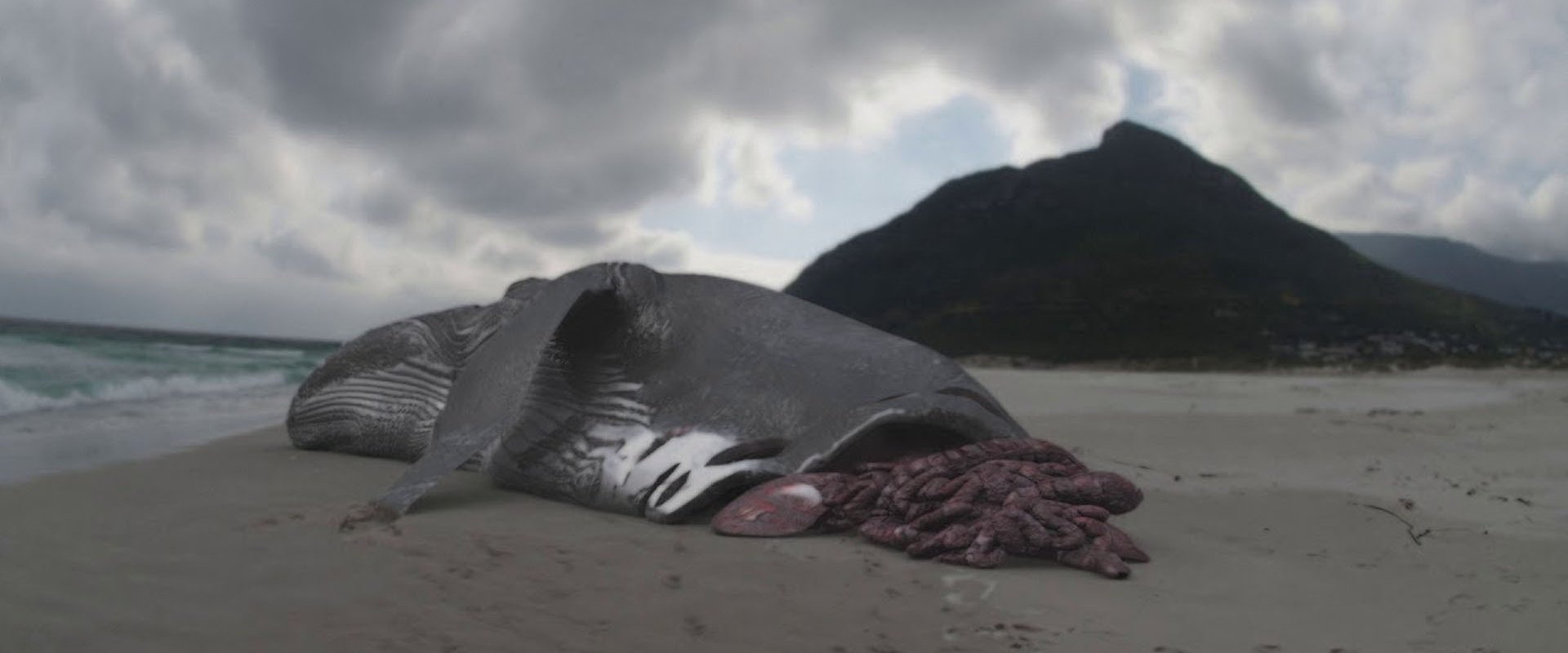 Megalodon: The Monster Shark Lives