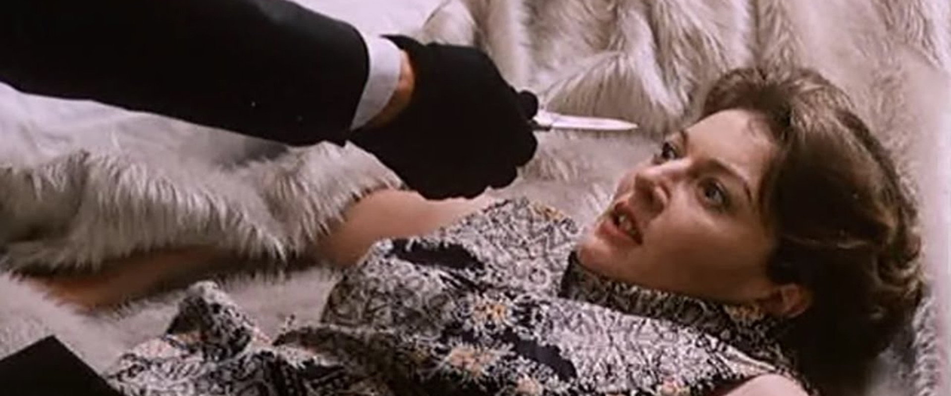 Because of the Cats backdrop