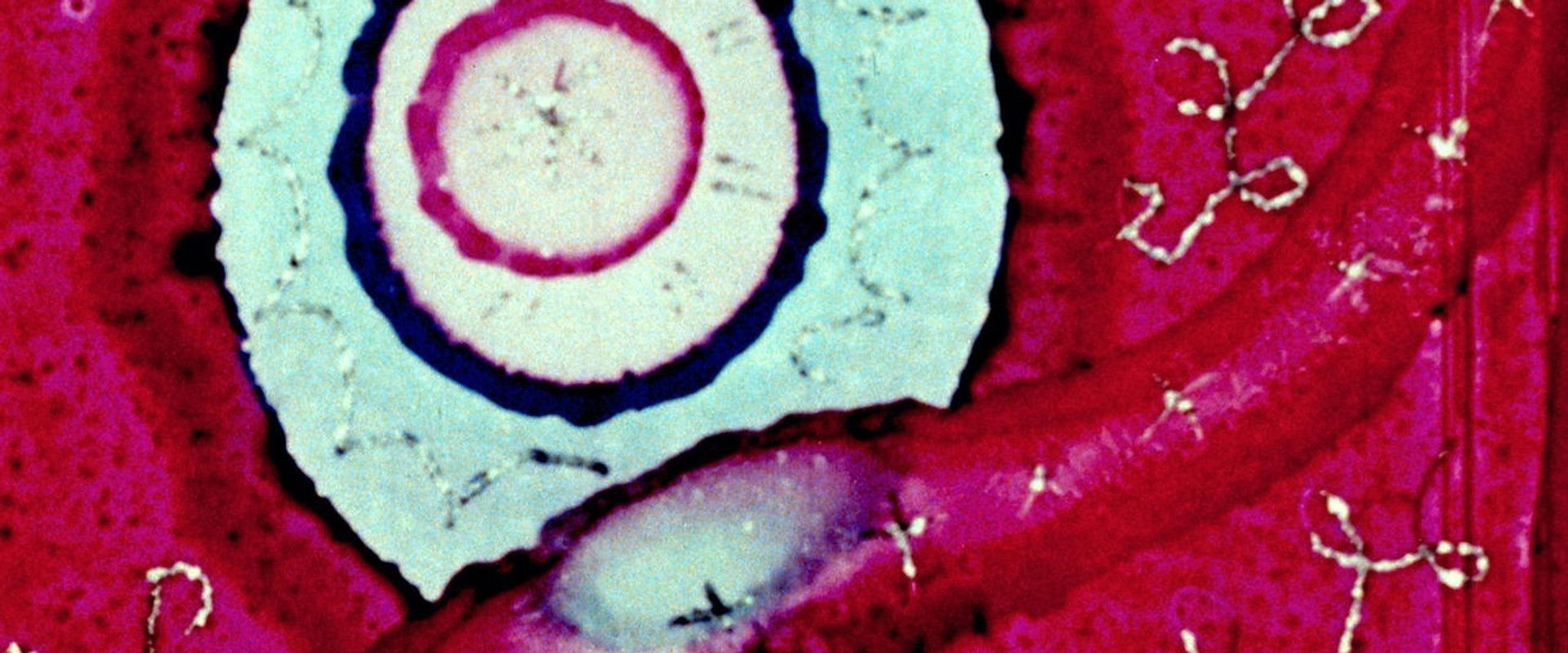 Begone Dull Care backdrop