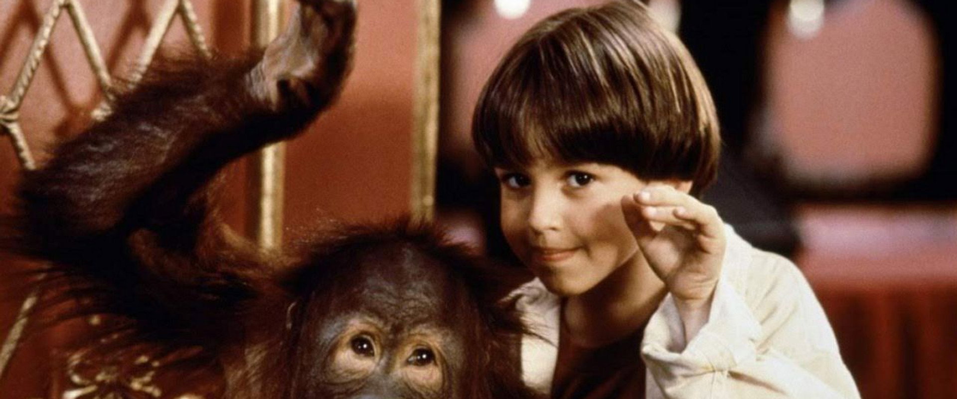 Dunston Checks In backdrop