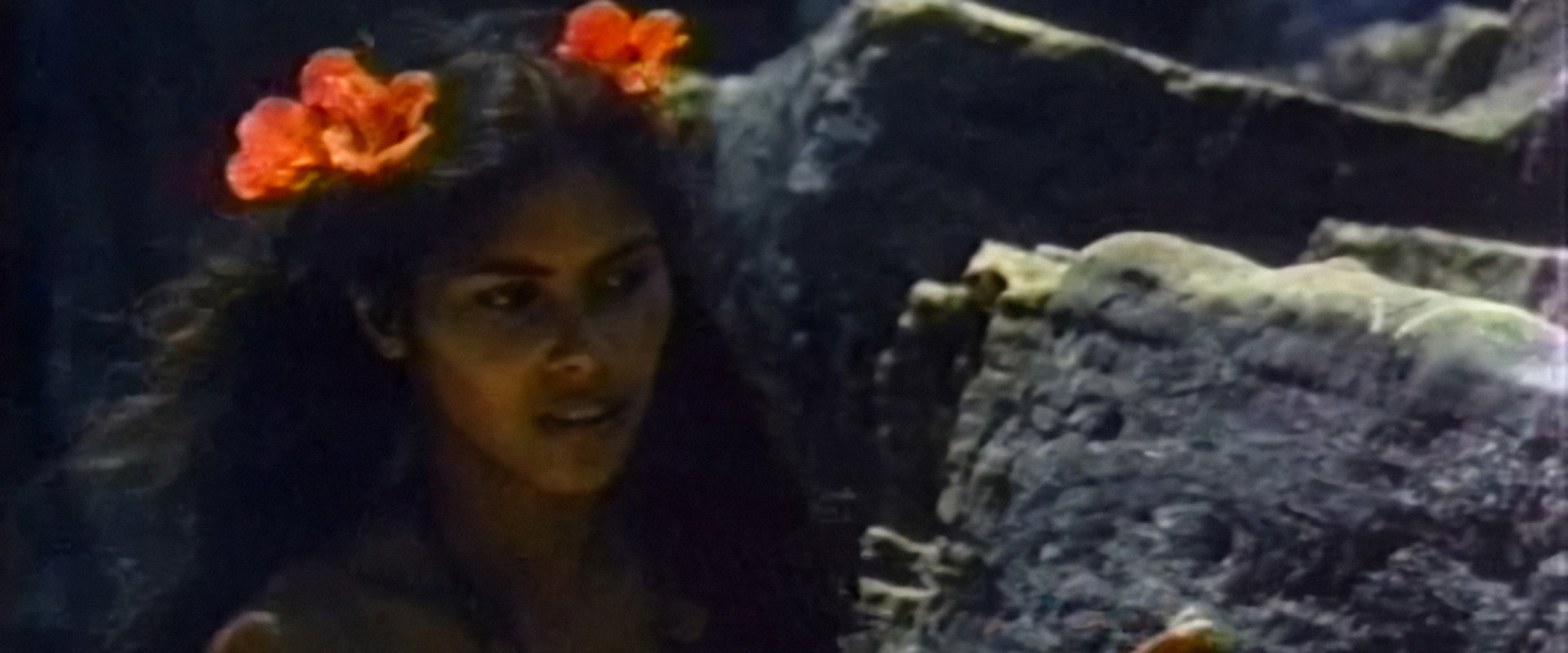 Tanya's Island backdrop