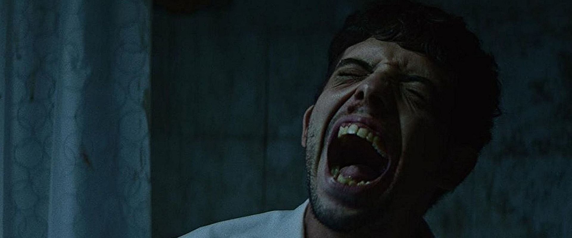 The Night of the Virgin