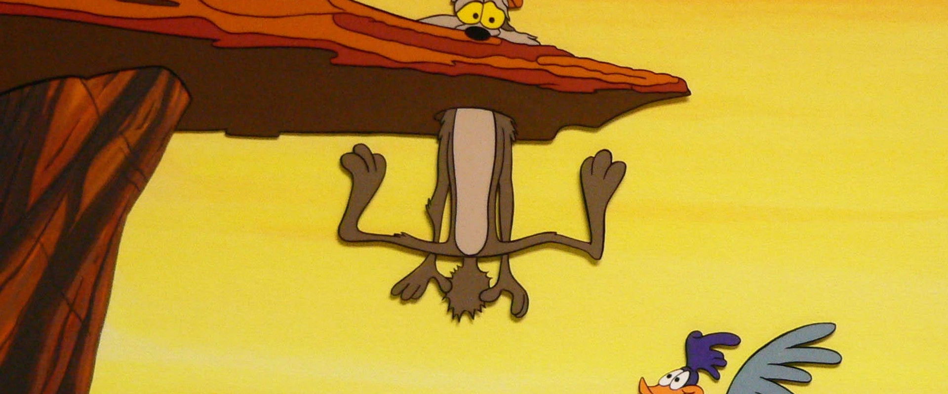 Zoom and Bored backdrop