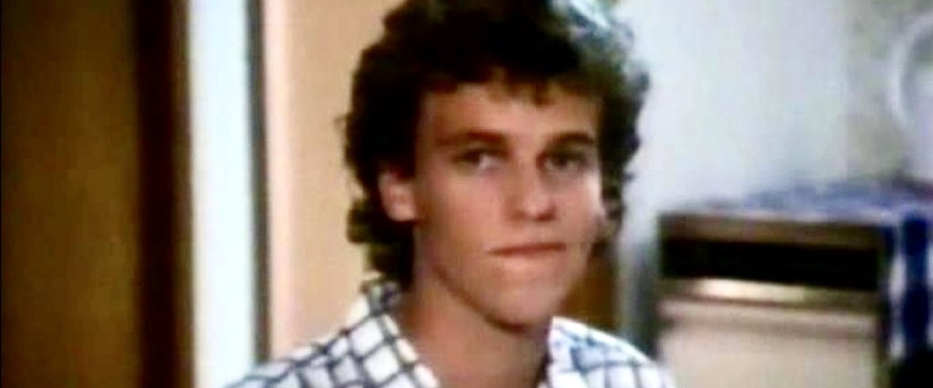 Hero in the Family backdrop