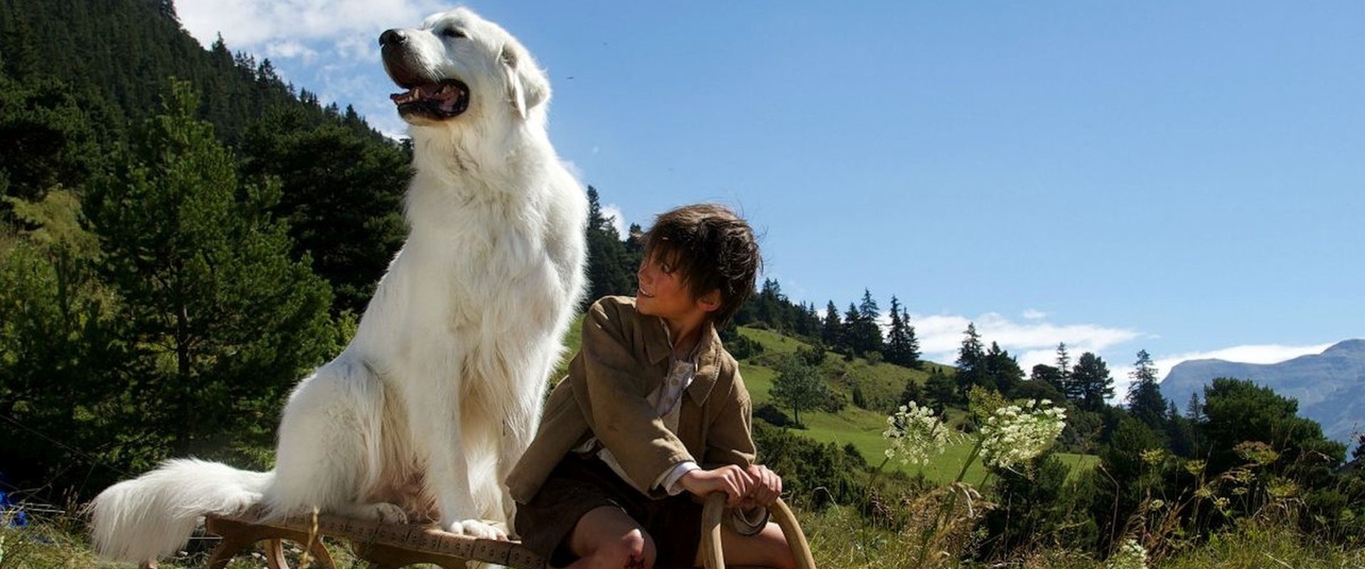 Belle and Sebastian: The Adventure Continues backdrop