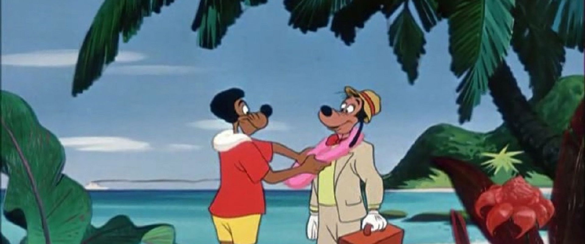 Hello Aloha backdrop