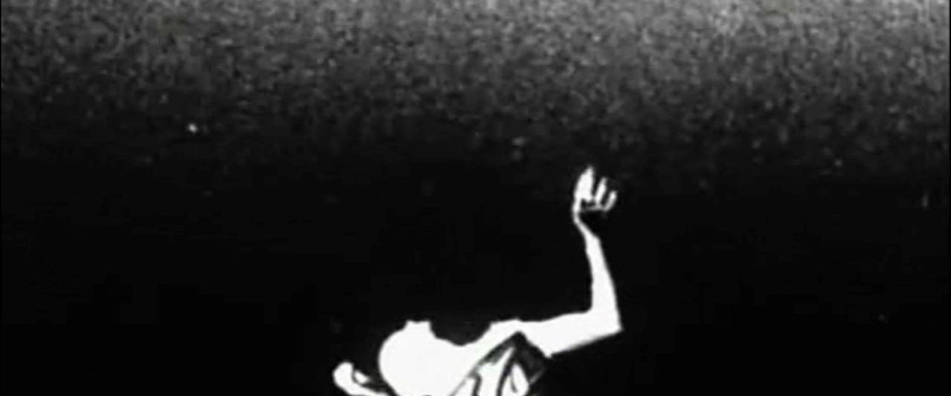 Din of Celestial Birds backdrop