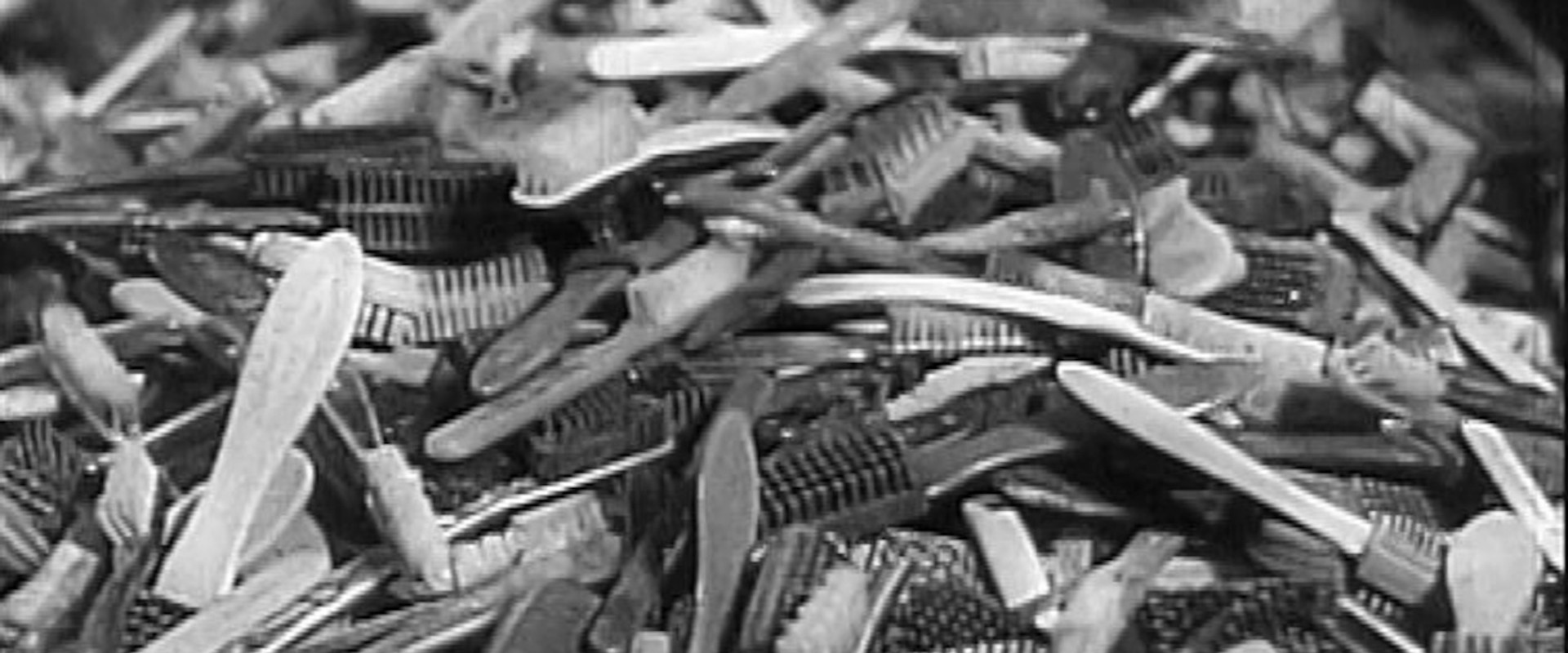 Shoah, les oubliés de l'histoire backdrop