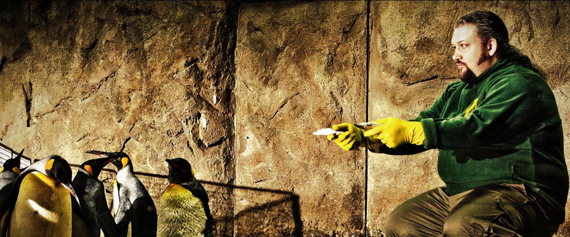 King Ping - Tippen Tappen Tödchen backdrop