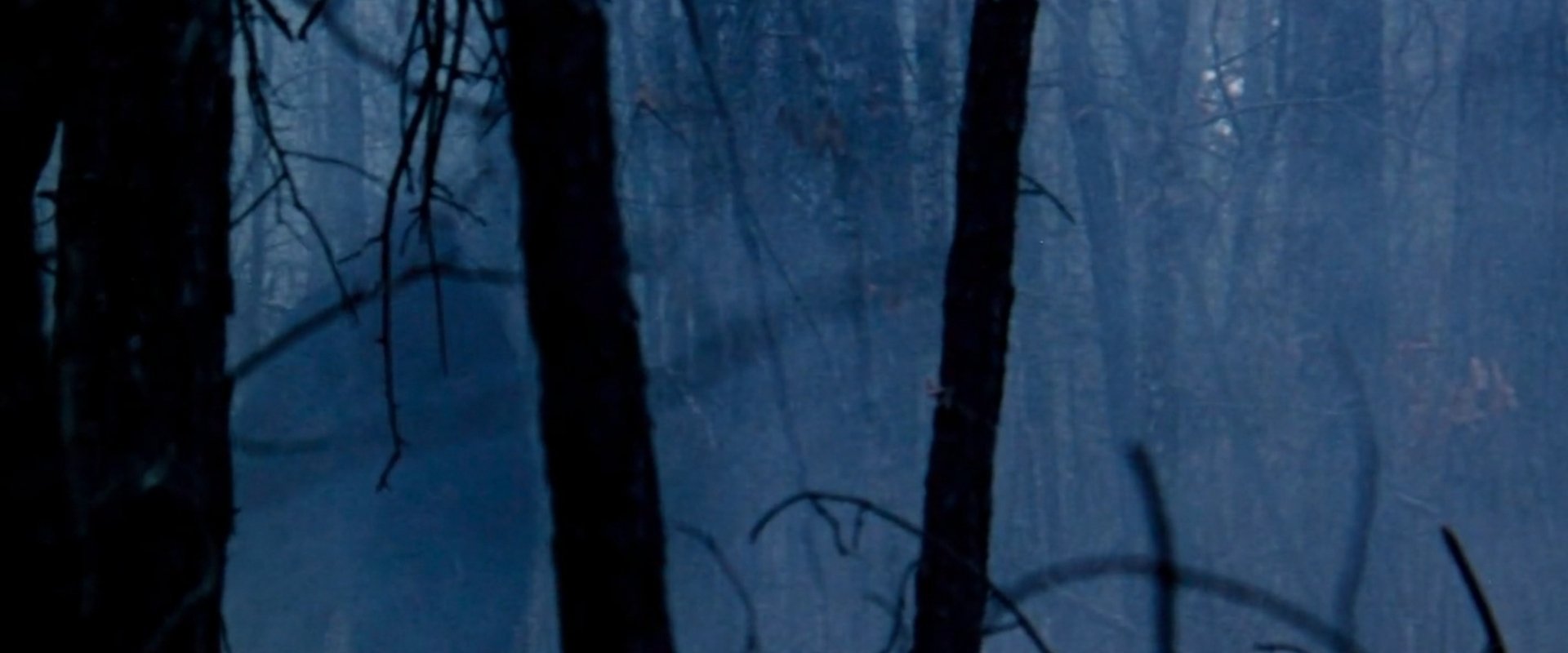 The Legend of Boggy Creek
