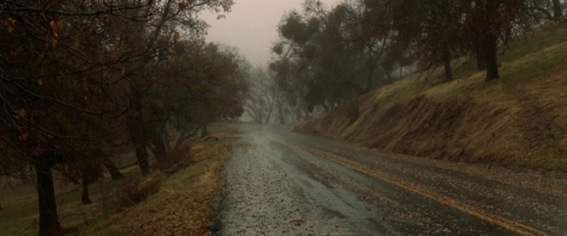 Small Roads backdrop