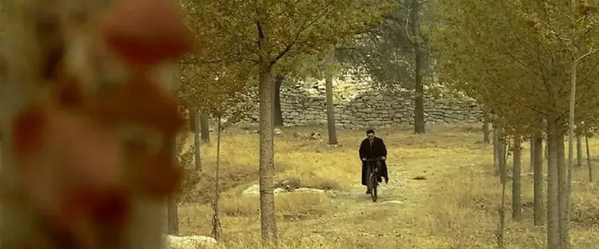 血染北沙河 backdrop