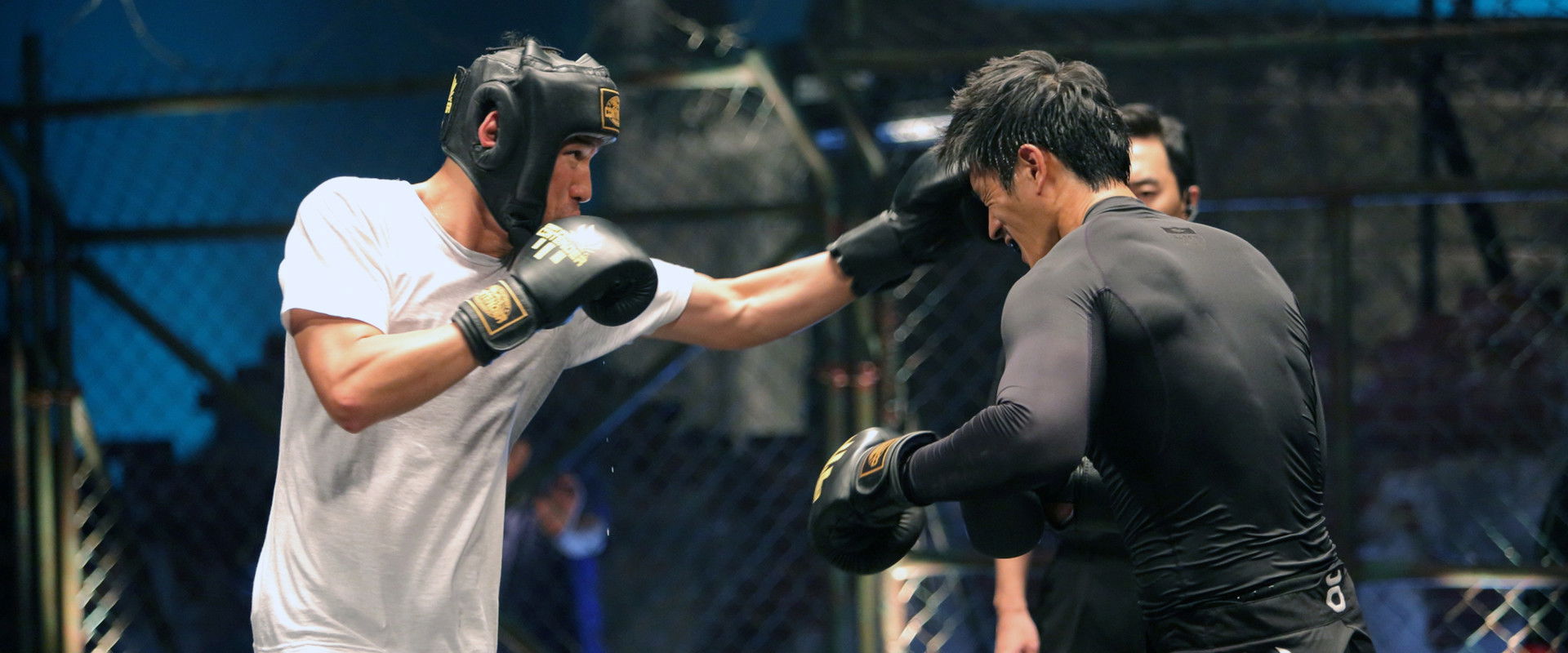 Fists of Legend backdrop