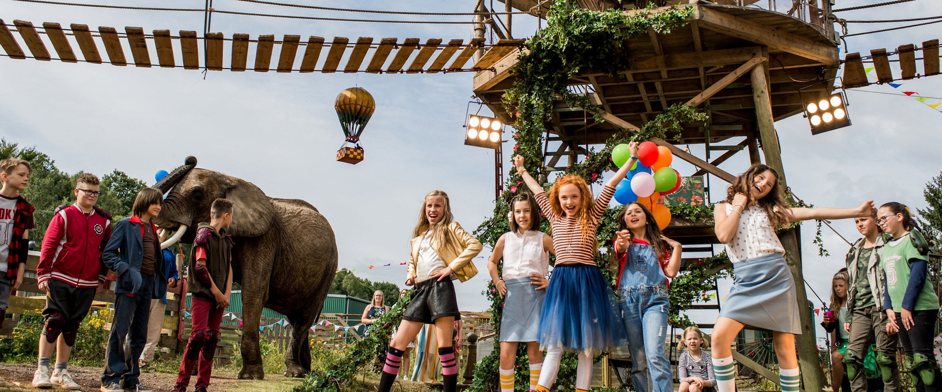 Little Miss Dolittle backdrop