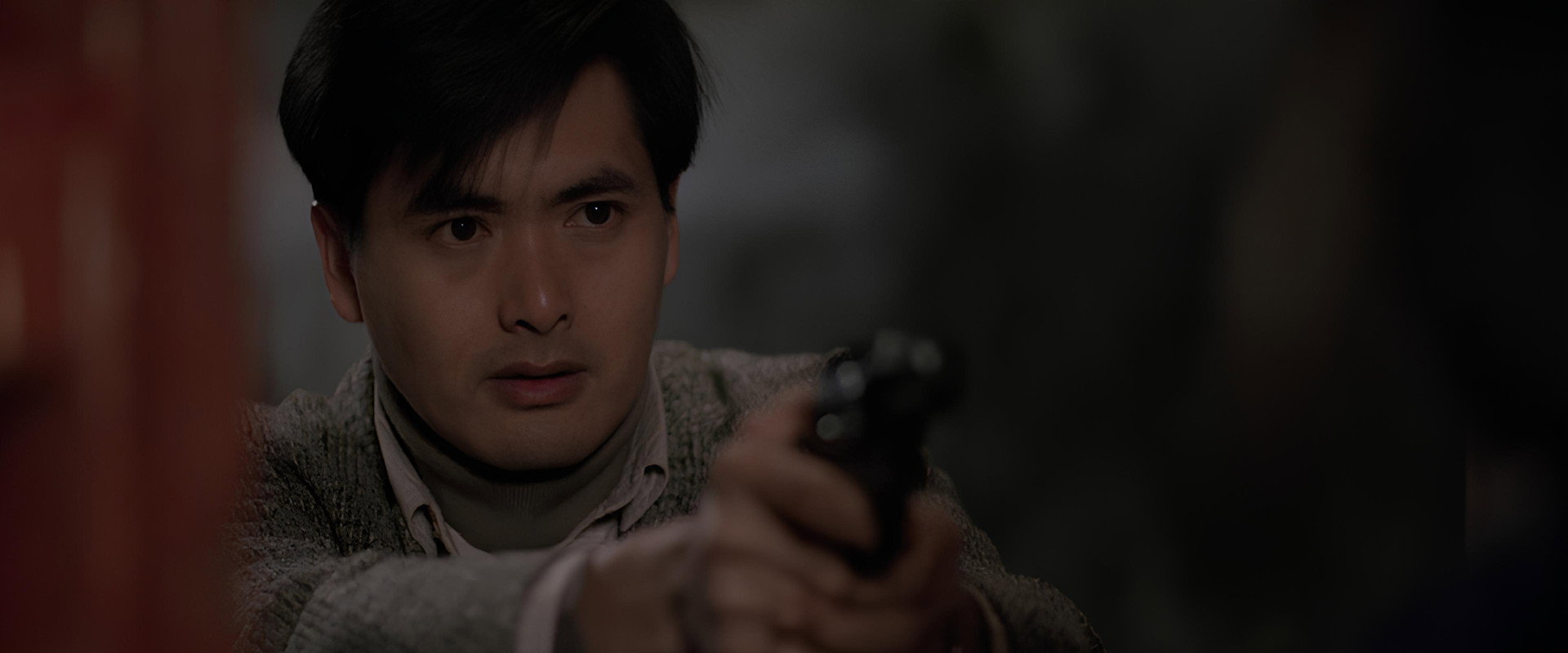 Wild Search backdrop