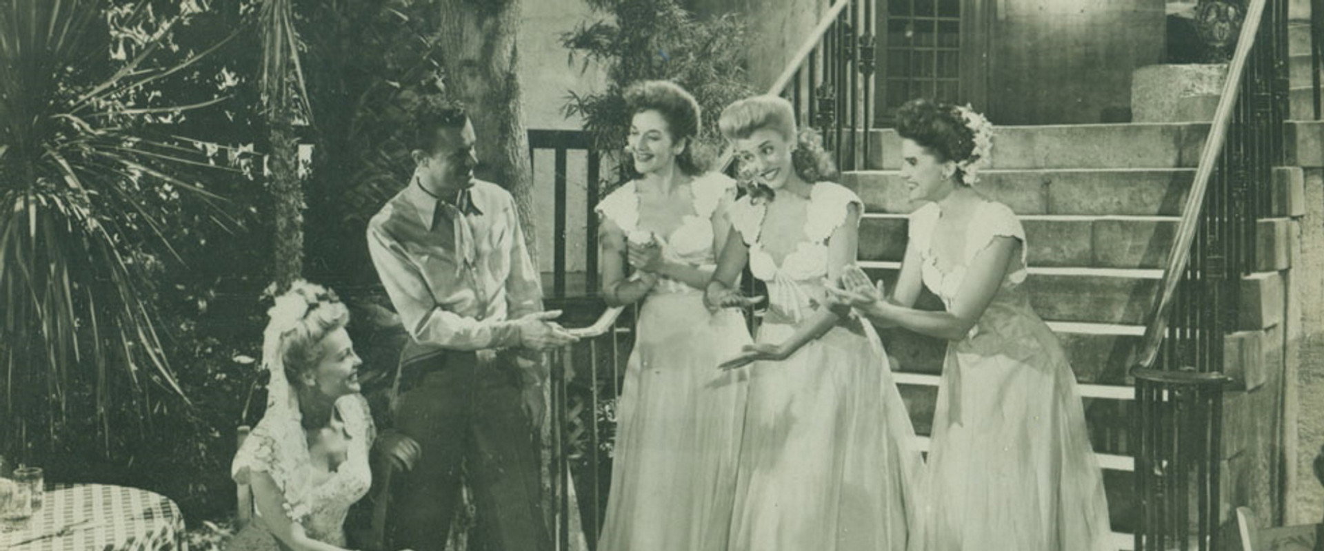 Moonlight and Cactus backdrop