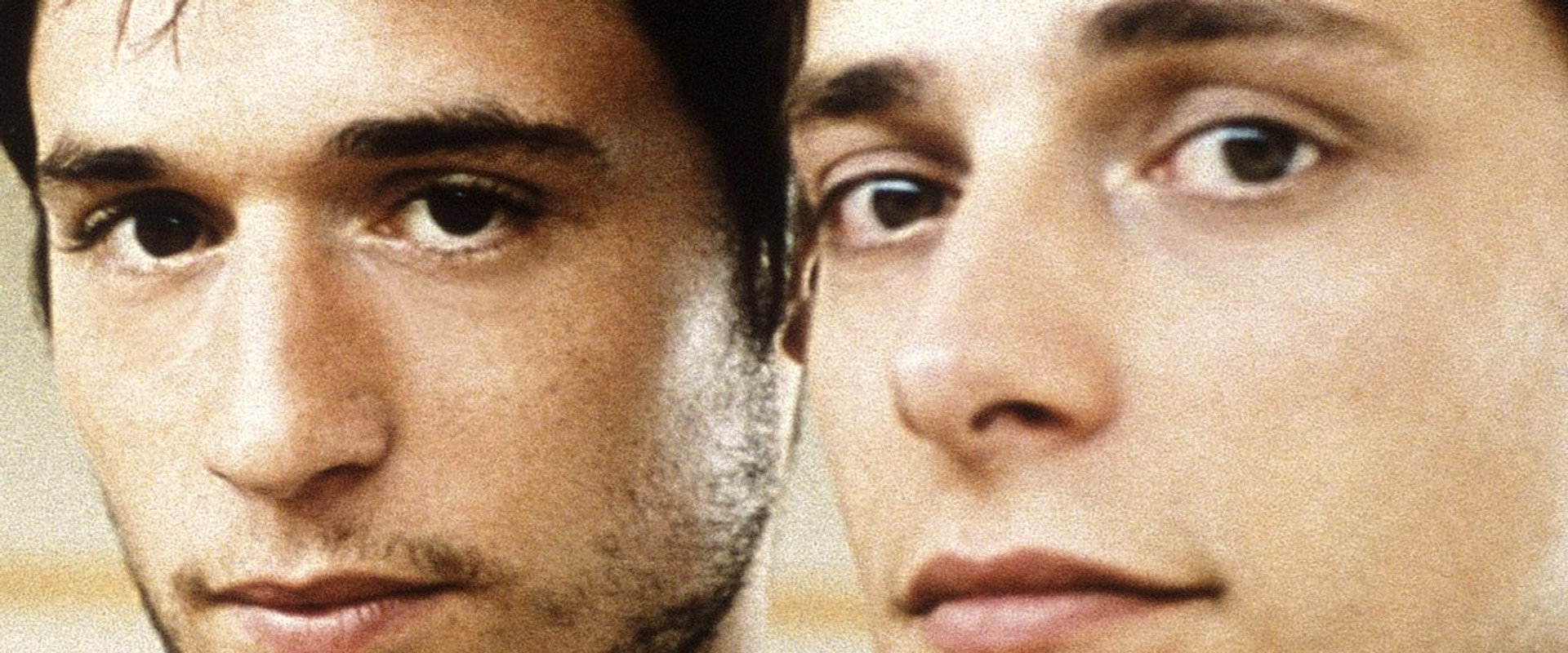 Because of a Boy backdrop