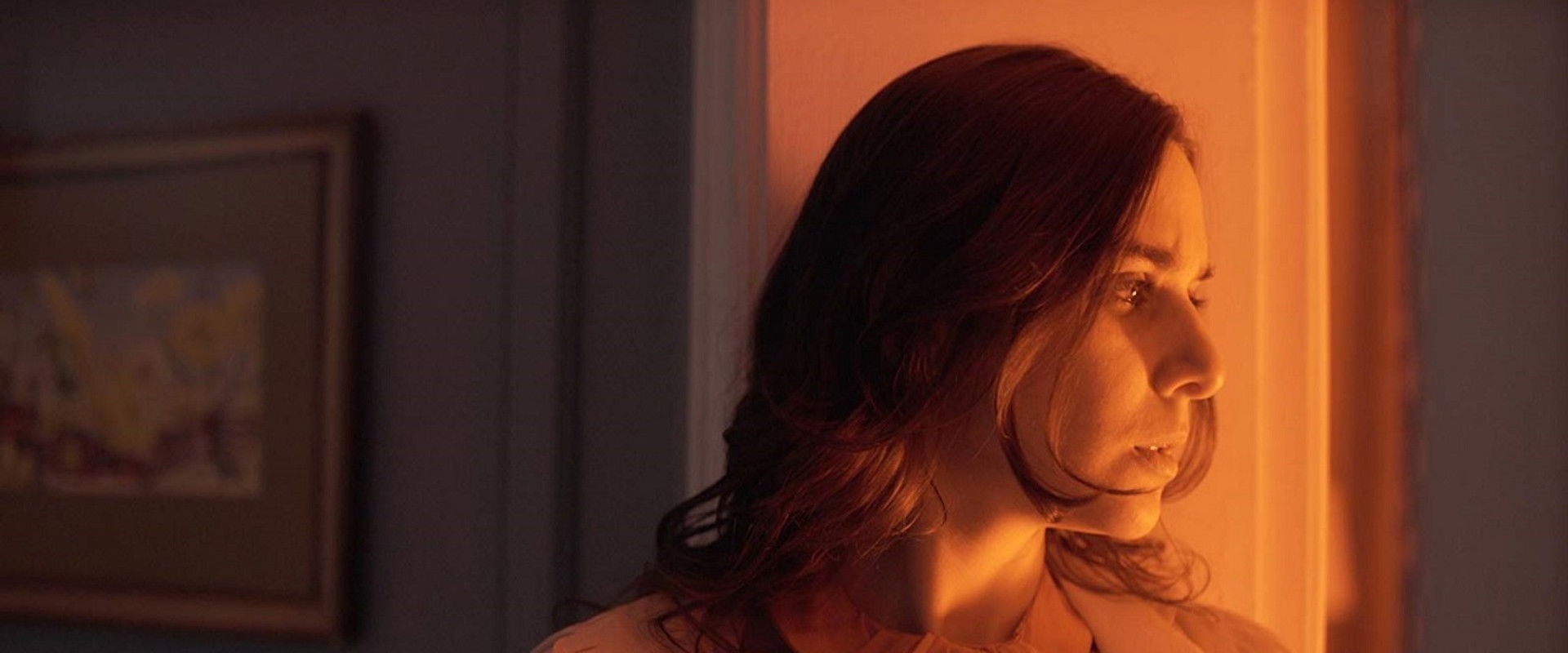 La señora Haidi backdrop