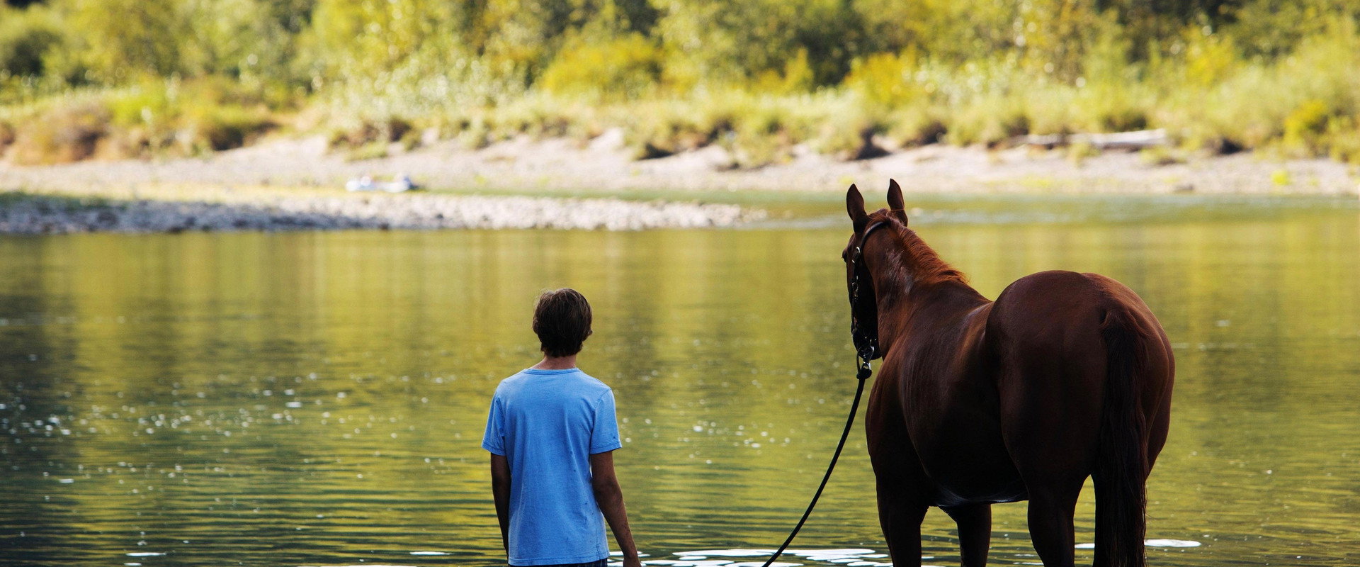 Lean on Pete backdrop