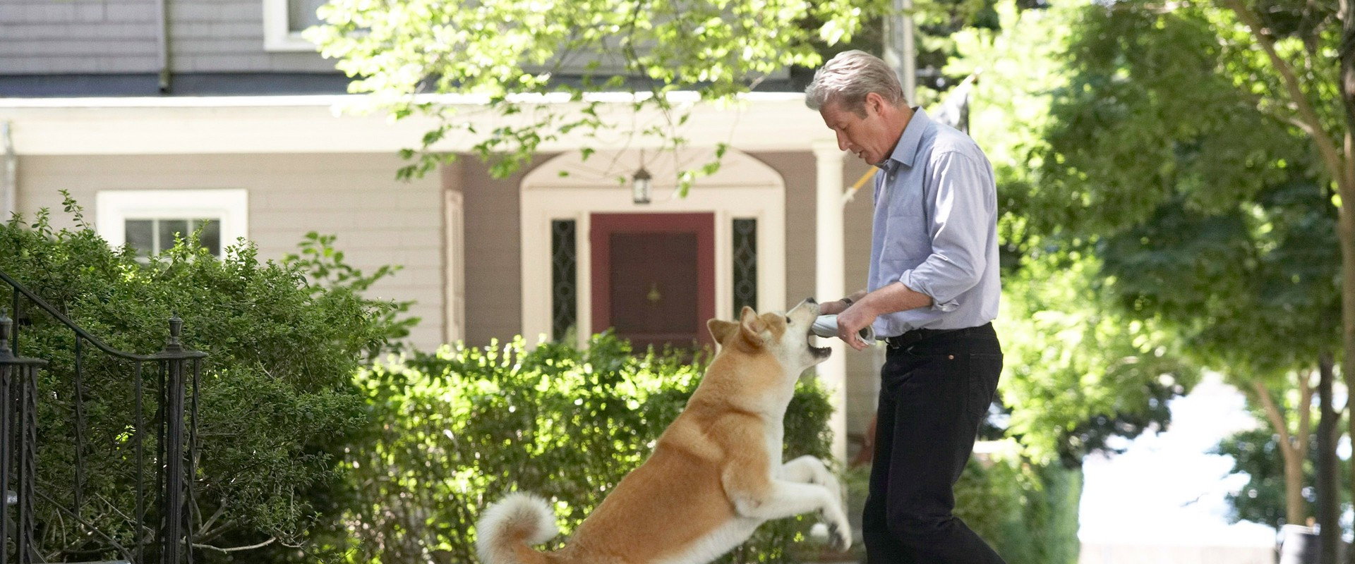 Hachi: A Dog's Tale backdrop