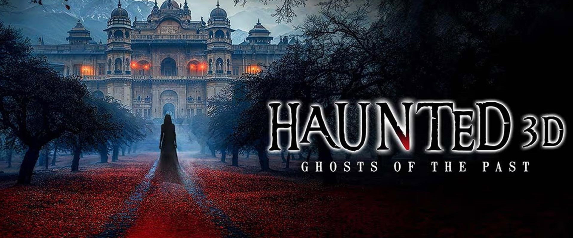 Haunted 3D: Echoes of the Past backdrop