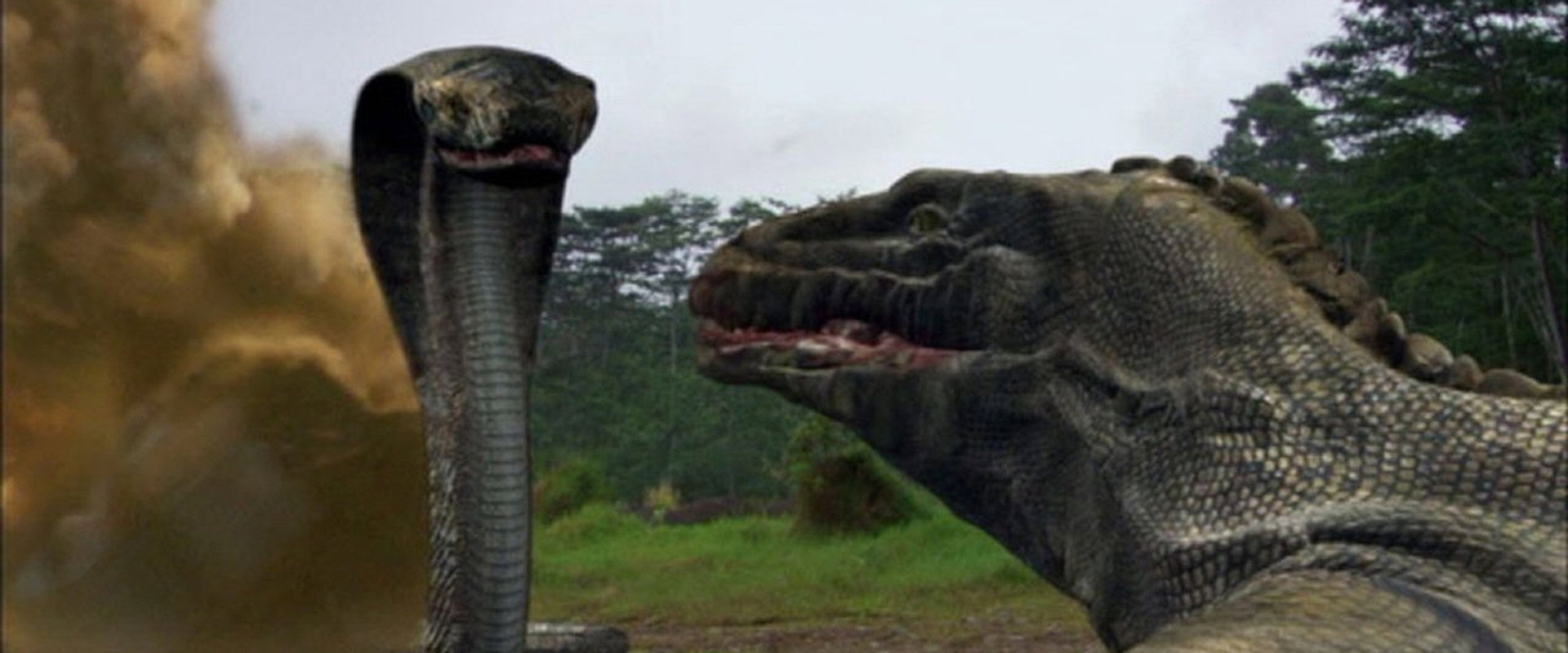 Komodo vs. Cobra backdrop