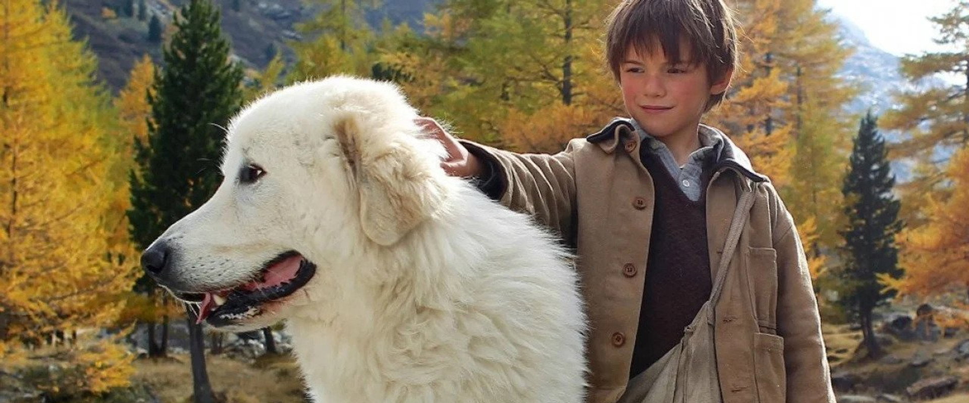 Belle and Sebastian backdrop