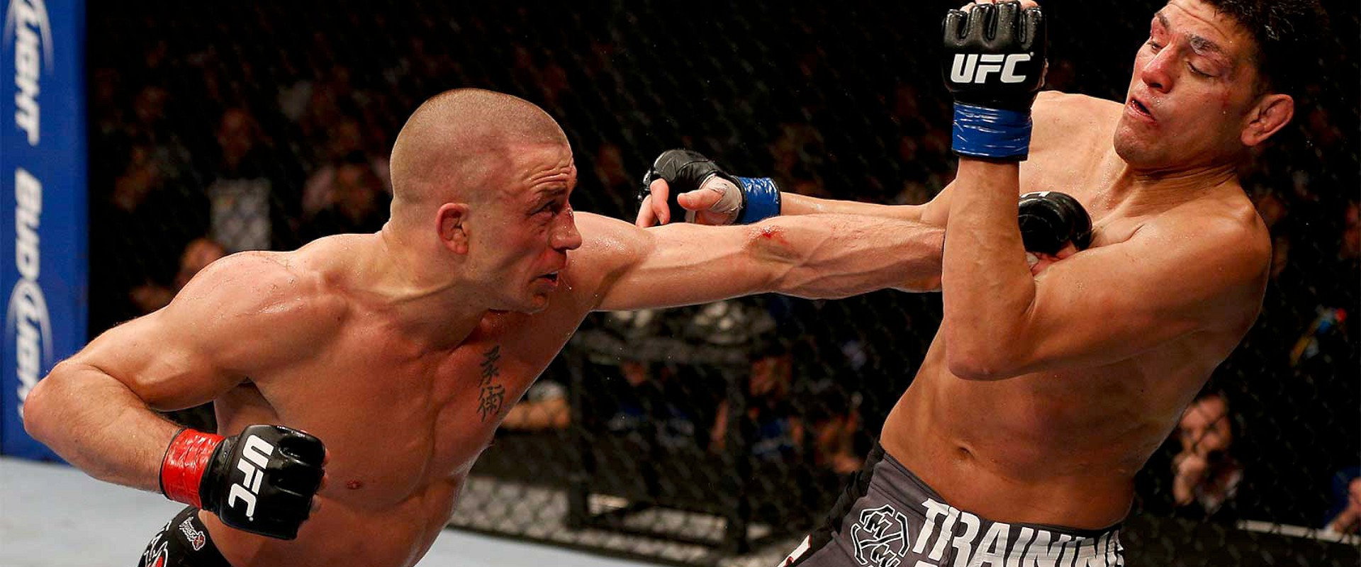Takedown: The DNA of GSP backdrop