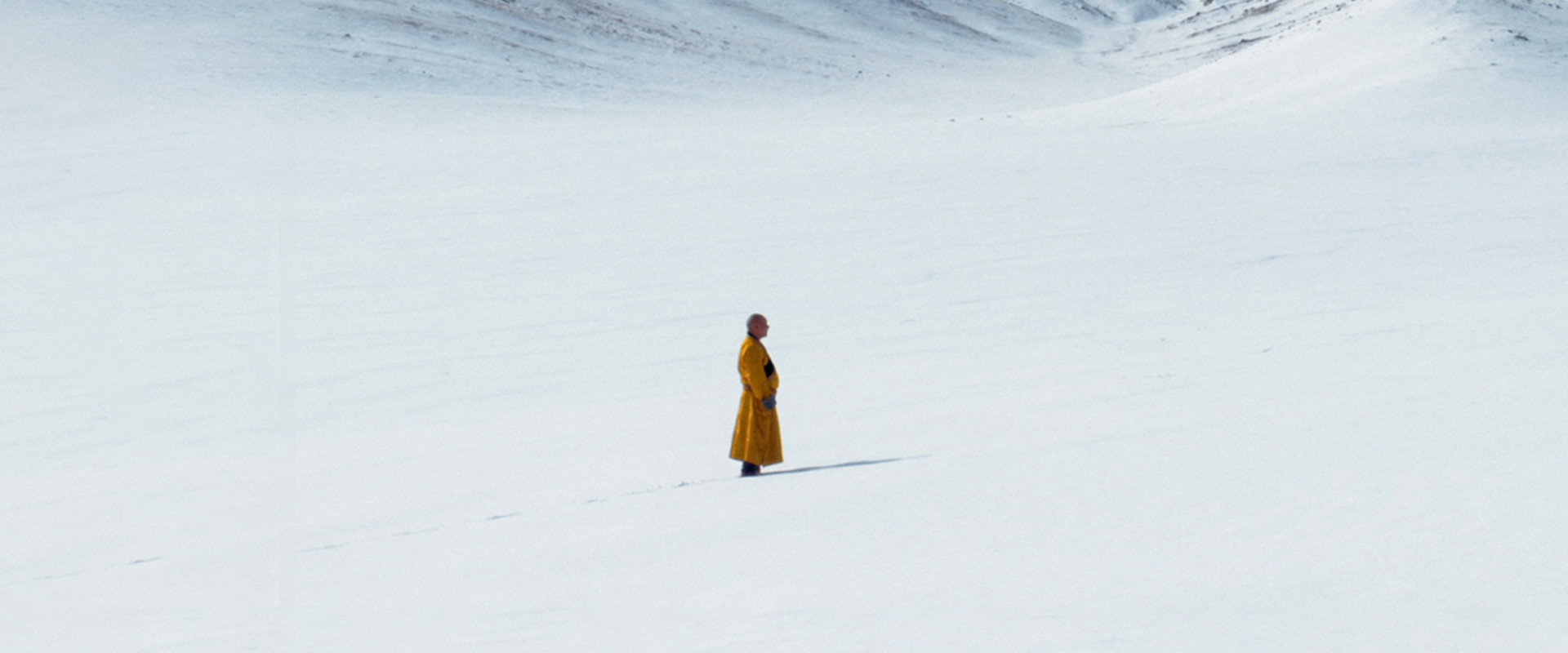 The Medicine Buddha backdrop