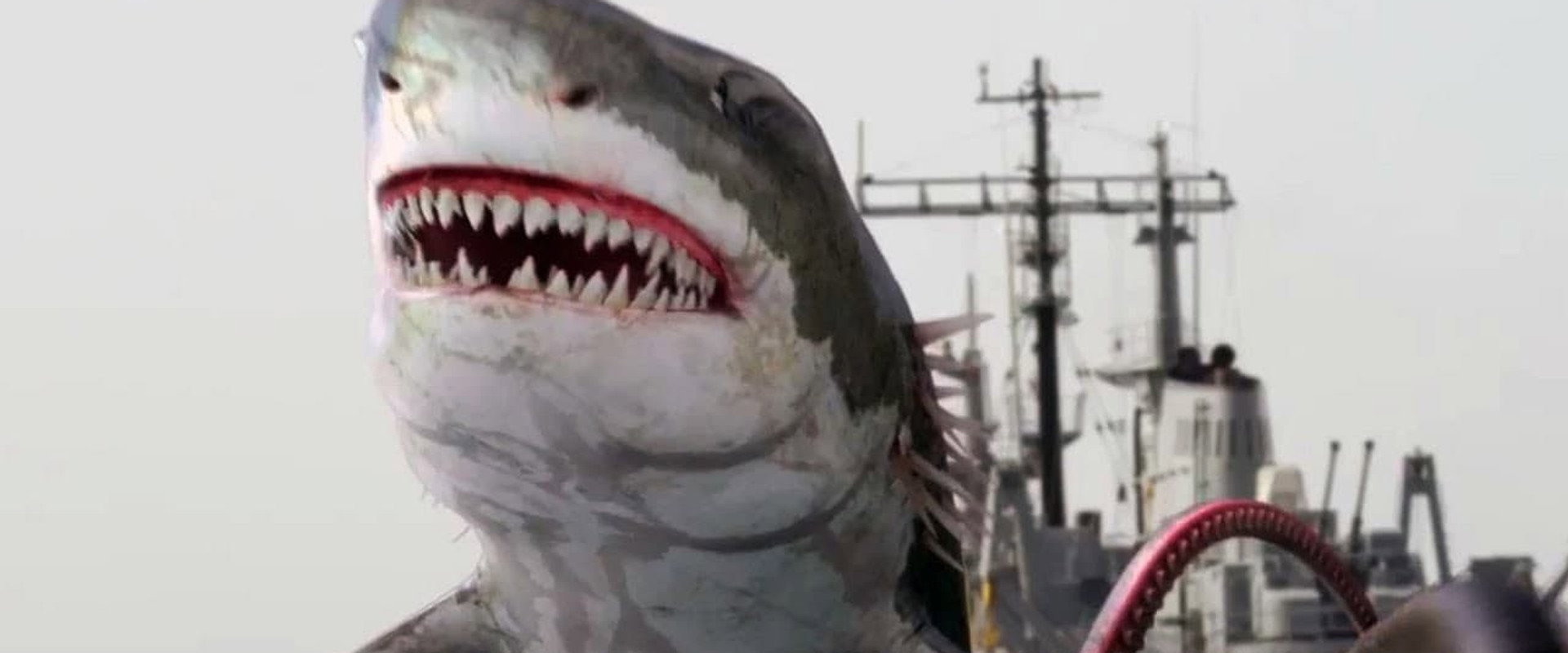 Sharktopus vs. Whalewolf backdrop