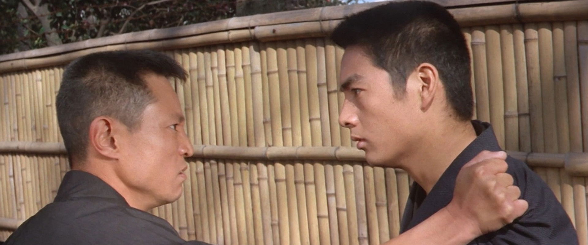 Fight of the Gamblers backdrop