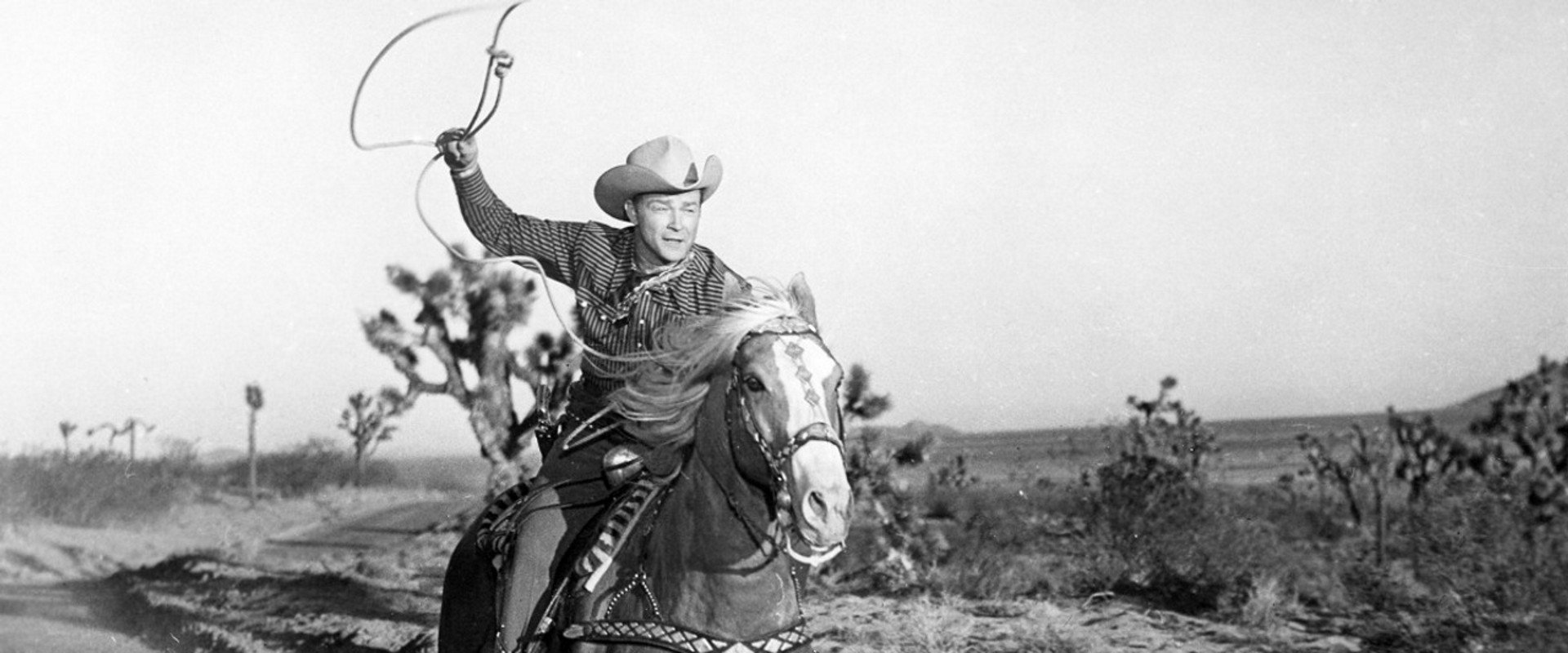 Trigger, Jr. backdrop