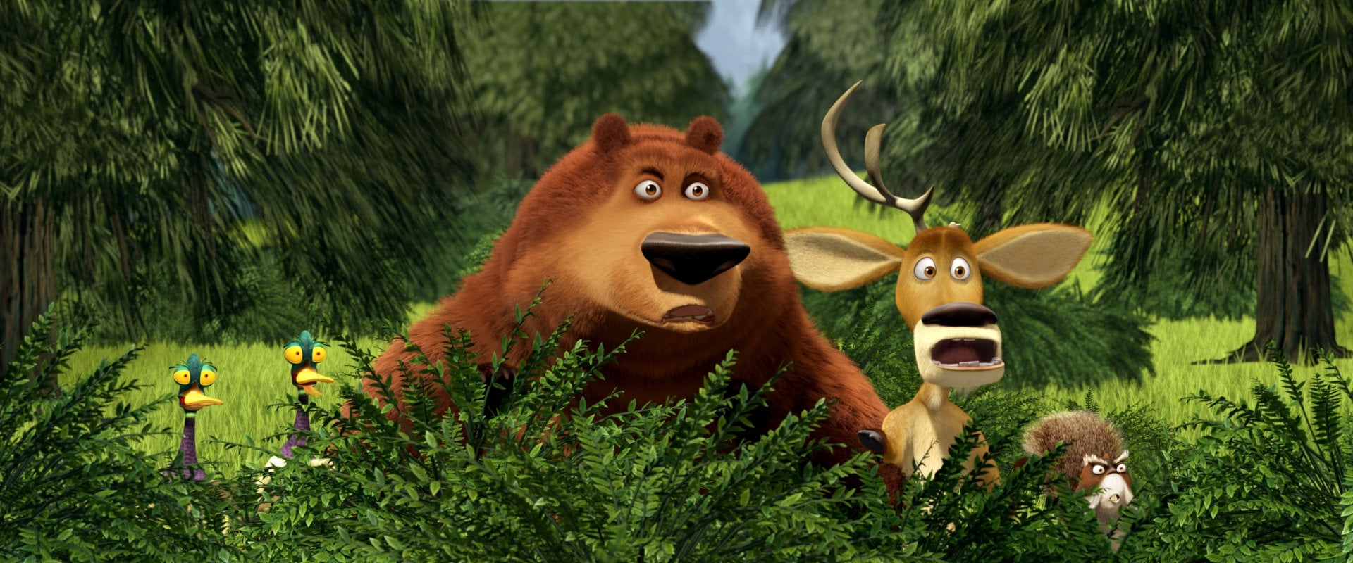 Open Season 2 backdrop