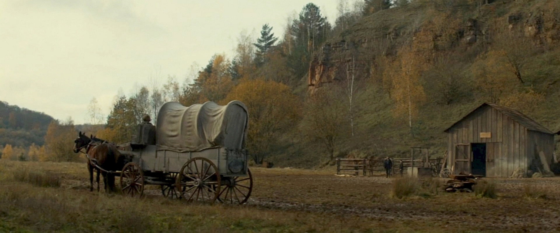 Never Grow Old backdrop