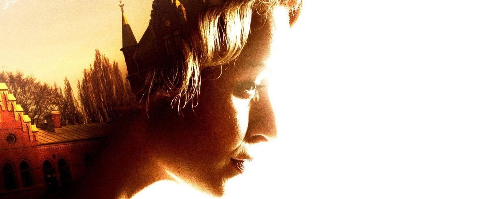 The Fjällbacka Murders: In the Eye of the Beholder backdrop