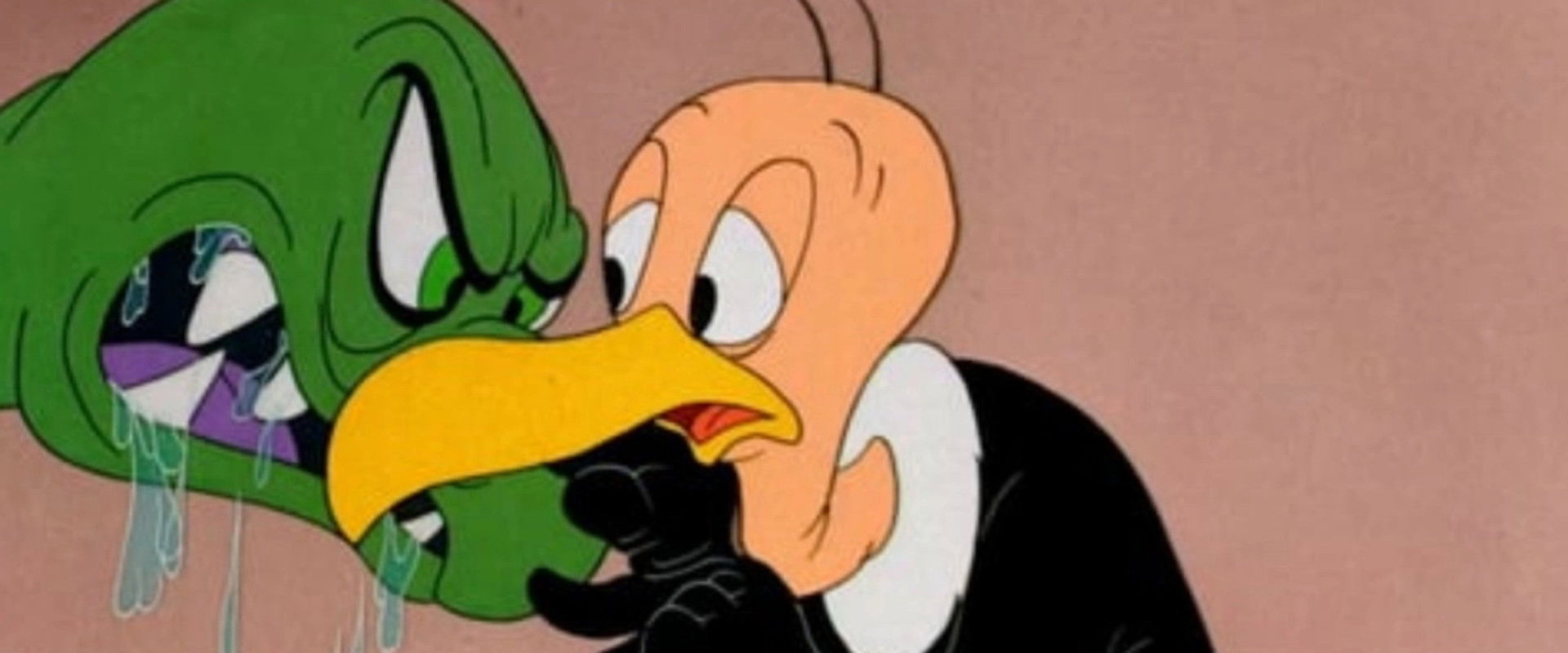 The Bashful Buzzard backdrop