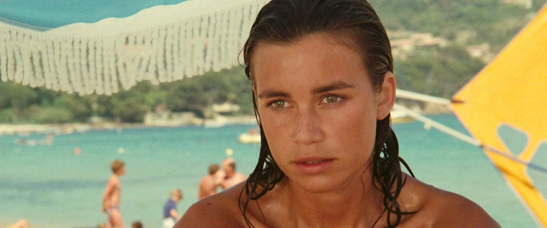 Year of the Jellyfish backdrop