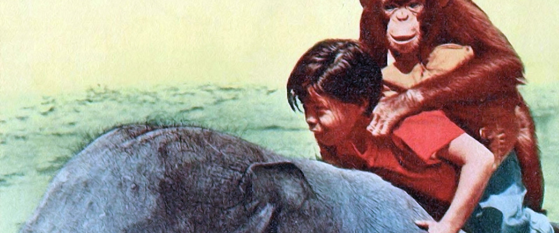 Taffy and the Jungle Hunter backdrop