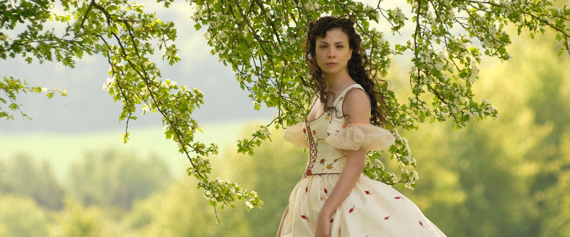 Aschenputtel backdrop