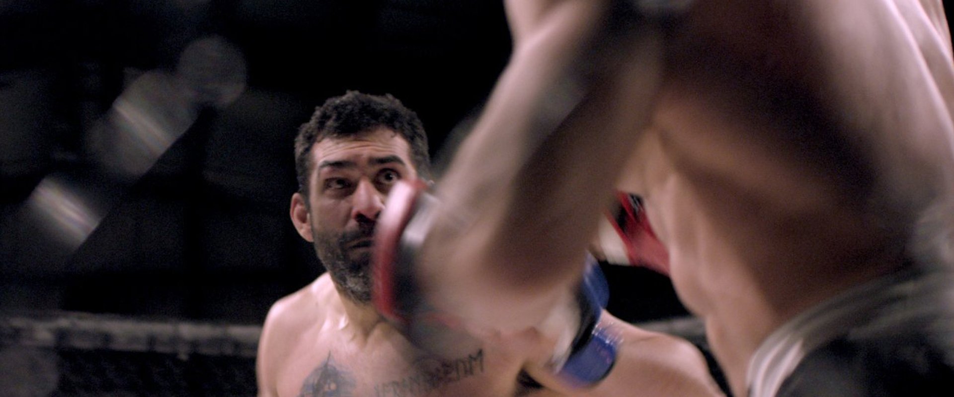 The Cage Fighter