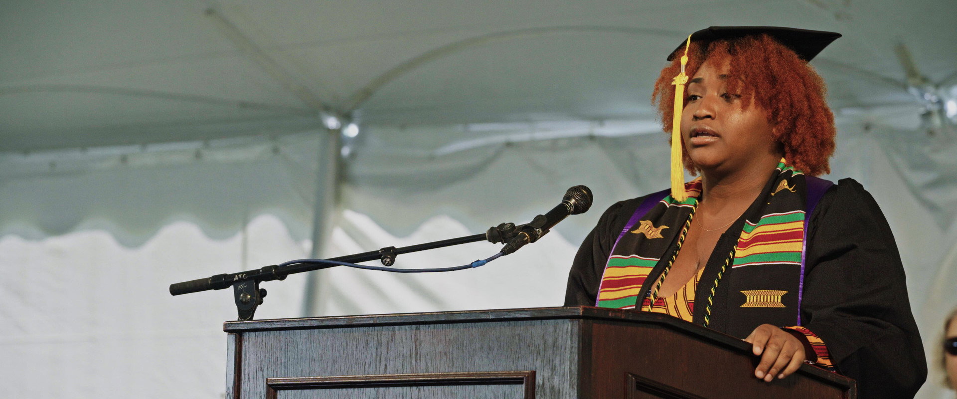The Unmaking of a College backdrop