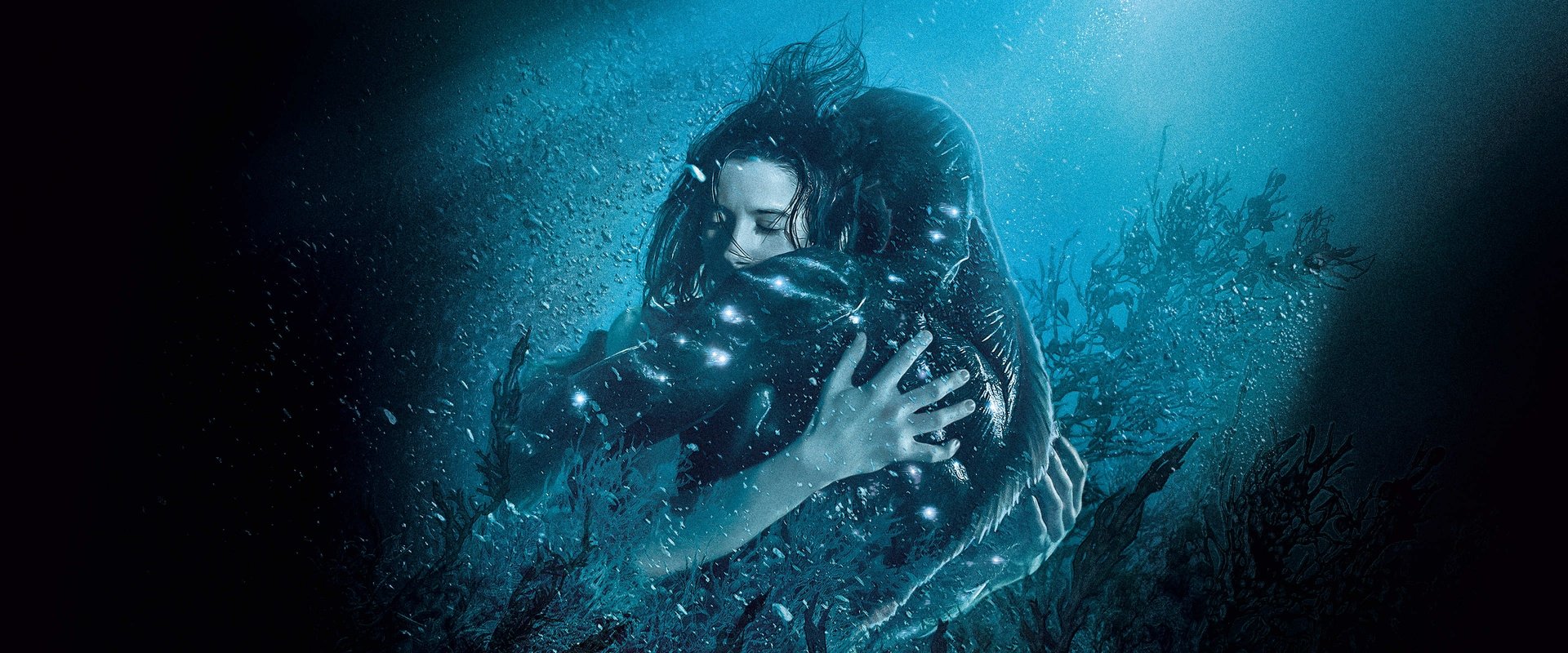 The Shape of Water
